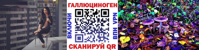 Галлюциногенные грибы Psilocybe  продажа наркотиков  Вологда 