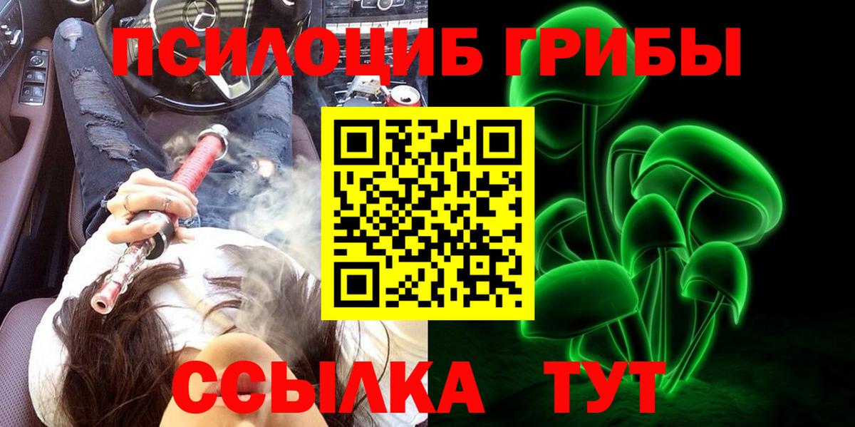 Вологда  Галлюциногенные грибы Magic Shrooms  наркота  Вход с VPN 